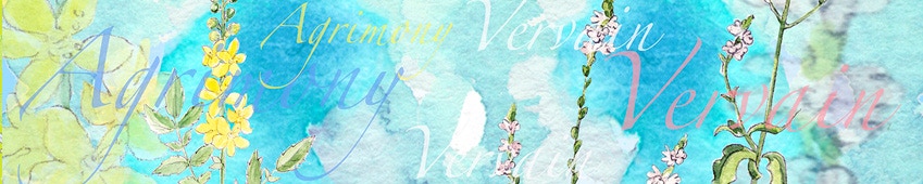 Bachblütenschal zum 5. Chakra, Hellblau, mit den Bachblüten Agrimony, Vervain.