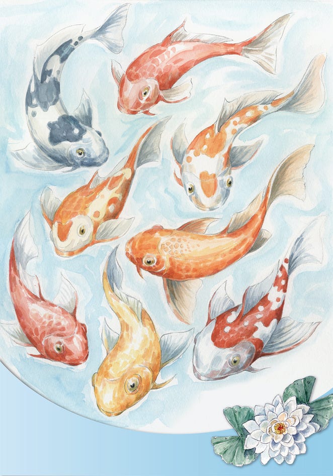 Aquarell 8 Kois, Seerose